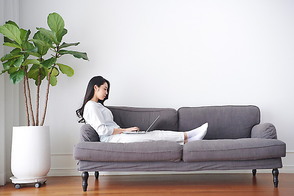 포토 JPG 전신 식물 여자 비즈니스 실내 한명 미소 앉기 성인 옆모습 30대 노트북 소파 한국인 업무 비즈니스우먼 사회이슈 재택근무 프리랜서 성인여자한명만 자가격리 사회적거리두기 레이어드홈 국내포토 직업 1 캠페인 뷰포인트 컨셉 의자 모션 표정 사람 동양인 내부 장년 전자제품 작업 직장인 여자한명만 성인여자만 파일형식 격리