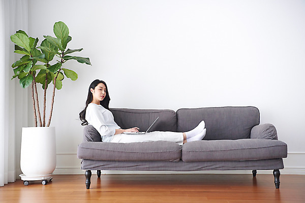 포토 JPG 전신 식물 여자 비즈니스 실내 한명 미소 앉기 성인 옆모습 30대 노트북 소파 한국인 업무 비즈니스우먼 사회이슈 재택근무 프리랜서 성인여자한명만 자가격리 사회적거리두기 레이어드홈 국내포토 직업 1 캠페인 뷰포인트 컨셉 의자 모션 표정 사람 동양인 내부 장년 전자제품 작업 직장인 여자한명만 성인여자만 파일형식 격리