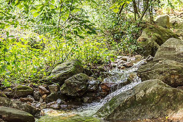 포토 JPG 주간 나무 자연 휴가 나뭇잎 산 풍경 사람없음 야외 물 여름 계곡 여름풍경 바위 청계산 국내포토 자연요소 식물 계절 잎 돌_바위 생태계 파일형식 여름_계절