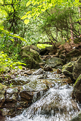 포토 JPG 주간 자연 휴가 나뭇잎 산 풍경 사람없음 야외 물 여름 계곡 여름풍경 바위 청계산 국내포토 자연요소 계절 잎 돌_바위 생태계 파일형식 여름_계절