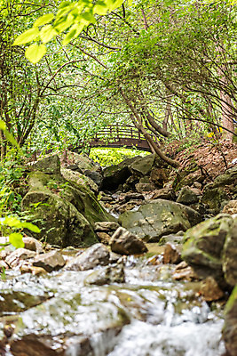 포토 JPG 주간 나무 자연 휴가 나뭇잎 산 풍경 사람없음 야외 물 여름 계곡 여름풍경 바위 청계산 국내포토 자연요소 식물 계절 잎 돌_바위 생태계 파일형식 여름_계절