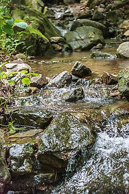 포토 JPG 주간 자연 휴가 산 풍경 사람없음 야외 물 여름 계곡 여름풍경 바위 청계산 국내포토 자연요소 계절 돌_바위 생태계 파일형식 여름_계절