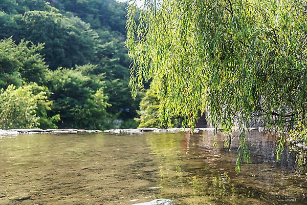 포토 JPG 주간 공원 휴가 휴식 풍경 사람없음 야외 물 여름 계곡 여름풍경 놀이공원 안양 국내포토 자연요소 계절 공공시설 컨셉 테마파크 경기도 파일형식 여름_계절