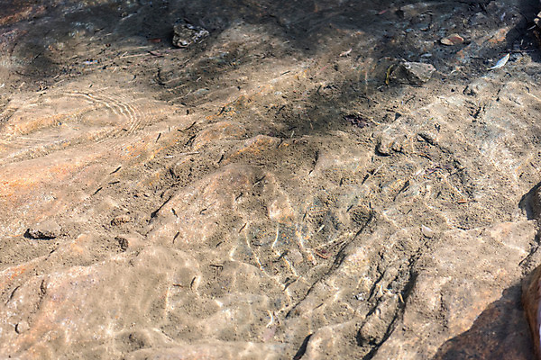 포토 JPG 주간 공원 휴가 휴식 풍경 사람없음 야외 물 여름 계곡 맑음 여름풍경 놀이공원 안양 송사리 국내포토 자연요소 계절 공공시설 컨셉 날씨 테마파크 민물고기 경기도 파일형식 여름_계절