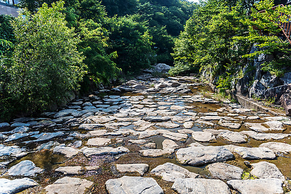 포토 JPG 주간 나무 휴가 휴식 풍경 사람없음 야외 물 여름 계곡 여름풍경 놀이공원 돌_바위 바위 안양 국내포토 자연요소 식물 계절 컨셉 테마파크 경기도 파일형식 여름_계절