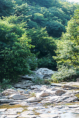 포토 JPG 주간 나무 휴가 휴식 풍경 사람없음 야외 물 여름 계곡 여름풍경 놀이공원 바위 안양 국내포토 자연요소 식물 계절 컨셉 테마파크 돌_바위 경기도 파일형식 여름_계절