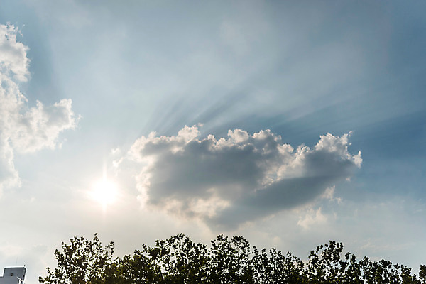 포토 JPG 주간 나무 구름 자연 하늘 휴식 풍경 사람없음 야외 여름 햇빛 여름풍경 힐링 국내포토 자연요소 식물 계절 컨셉 태양 생태계 파일형식 여름_계절