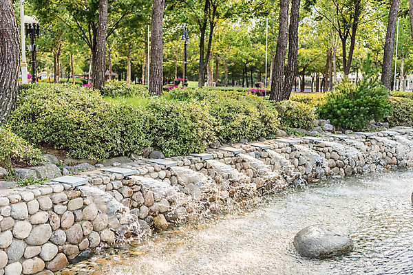 포토 JPG 주간 나무 공원 풍경 사람없음 야외 물 여름 여름풍경 분수 분수대 국내포토 자연요소 식물 계절 공공시설 파일형식 여름_계절