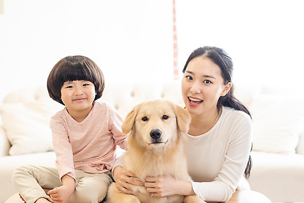 포토 JPG 전신 한마리 여자 남자 반려견 어린이 실내 미소 앉기 소년 상반신 20대 성인 두명 앞모습 반려동물 소파 한국인 골든리트리버 강아지 즐거움 교감 가정교사 반려 홈스쿨링 국내포토 동물 1 감정 뷰포인트 의자 모션 표정 사람 동양인 청년 내부 교사 개 리트리버 홈스쿨 파일형식