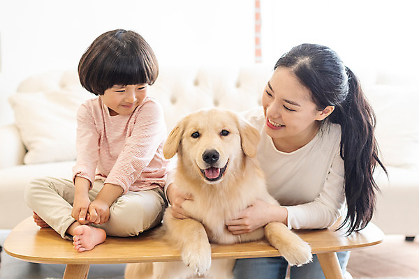 포토 JPG 전신 한마리 여자 남자 반려견 어린이 실내 미소 앉기 소년 상반신 20대 성인 두명 앞모습 반려동물 소파 한국인 골든리트리버 강아지 즐거움 교감 가정교사 반려 홈스쿨링 국내포토 동물 1 감정 뷰포인트 의자 모션 표정 사람 동양인 청년 내부 교사 개 리트리버 홈스쿨 파일형식