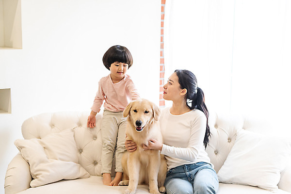 포토 JPG 전신 한마리 여자 남자 반려견 어린이 실내 미소 앉기 소년 상반신 20대 성인 두명 앞모습 반려동물 소파 한국인 골든리트리버 강아지 즐거움 교감 가정교사 반려 홈스쿨링 국내포토 동물 1 감정 뷰포인트 의자 모션 표정 사람 동양인 청년 내부 교사 개 리트리버 홈스쿨 파일형식