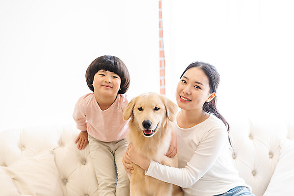 포토 JPG 한마리 여자 남자 반려견 어린이 실내 미소 앉기 소년 상반신 20대 성인 두명 앞모습 반려동물 소파 한국인 골든리트리버 강아지 즐거움 교감 가정교사 반려 홈스쿨링 국내포토 동물 1 감정 뷰포인트 의자 모션 표정 사람 동양인 청년 내부 교사 개 리트리버 홈스쿨 파일형식