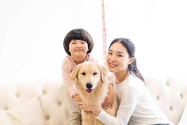 포토 JPG 한마리 여자 남자 반려견 어린이 실내 미소 앉기 소년 상반신 20대 성인 두명 앞모습 옆모습 반려동물 소파 한국인 골든리트리버 강아지 즐거움 교감 가정교사 반려 홈스쿨링 국내포토 동물 1 감정 뷰포인트 의자 모션 표정 사람 동양인 청년 내부 교사 개 리트리버 홈스쿨 파일형식
