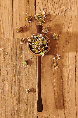 포토 JPG 스튜디오촬영 식물 그릇 꽃잎 건조 실내 건강 사람없음 하이앵글 차 오브젝트 구절초 꽃차 플랫레이 갈색배경 나무배경 차거름망 국내포토 식기 꽃 음료 뷰포인트 백그라운드 내부 차_음료 갈색 플랫 파일형식