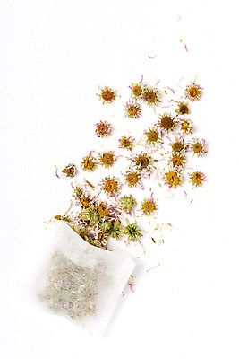 포토 JPG 스튜디오촬영 식물 꽃잎 건조 실내 건강 누끼 사람없음 하이앵글 차 오브젝트 흰배경 티백 구절초 꽃차 플랫레이 국내포토 꽃 음료 뷰포인트 백그라운드 내부 차_음료 흰색 플랫 파일형식