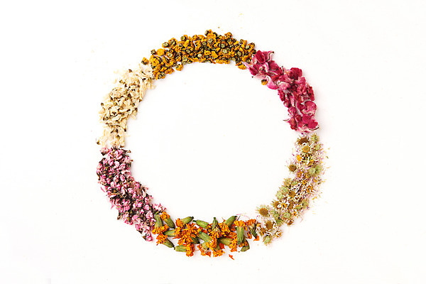 포토 JPG 스튜디오촬영 식물 꽃잎 프레임 건조 국화 실내 건강 누끼 사람없음 하이앵글 원형 차 오브젝트 흰배경 구절초 꽃차 맨드라미 복사꽃 아카시아꽃 플랫레이 매리골드 국내포토 도형 꽃 음료 뷰포인트 백그라운드 내부 차_음료 흰색 플랫 파일형식