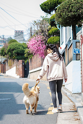 포토 JPG 주간 전신 한마리 여자 반려견 함께함 한명 20대 성인 야외 뒷모습 반려동물 걷기 다정 산책 한국인 개 골든리트리버 강아지 즐거움 목줄 반려 성인여자한명만 펫팸족 국내포토 자연요소 동물 1 감정 뷰포인트 컨셉 포유류 모션 휴식 사람 동양인 청년 리트리버 신조어 여자한명만 성인여자만 파일형식 반려용품