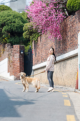 포토 JPG 주간 전신 한마리 여자 반려견 함께함 한명 20대 성인 야외 뒷모습 반려동물 걷기 다정 산책 한국인 뒤돌아보기 개 골든리트리버 강아지 즐거움 목줄 반려 성인여자한명만 펫팸족 국내포토 자연요소 동물 1 감정 뷰포인트 컨셉 포유류 모션 휴식 사람 동양인 청년 리트리버 신조어 여자한명만 성인여자만 파일형식 반려용품