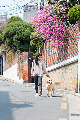 포토 JPG 주간 전신 한마리 여자 반려견 함께함 한명 20대 성인 야외 뒷모습 반려동물 걷기 다정 산책 한국인 개 골든리트리버 강아지 즐거움 목줄 반려 성인여자한명만 펫팸족 국내포토 자연요소 동물 1 감정 뷰포인트 컨셉 포유류 모션 휴식 사람 동양인 청년 리트리버 신조어 여자한명만 성인여자만 파일형식 반려용품