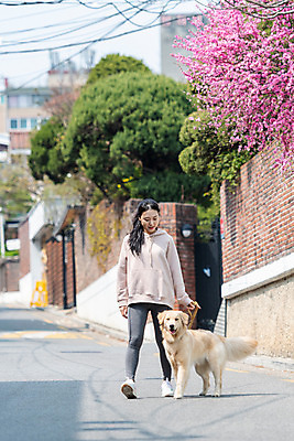 포토 JPG 주간 전신 한마리 여자 반려견 함께함 한명 20대 성인 야외 앞모습 반려동물 걷기 다정 산책 한국인 개 골든리트리버 강아지 즐거움 목줄 반려 성인여자한명만 펫팸족 국내포토 자연요소 동물 1 감정 뷰포인트 컨셉 포유류 모션 휴식 사람 동양인 청년 리트리버 신조어 여자한명만 성인여자만 파일형식 반려용품