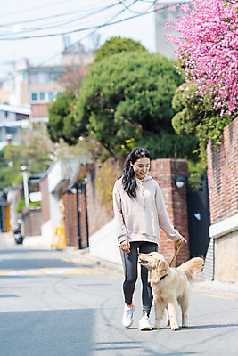 포토 JPG 주간 전신 한마리 여자 반려견 함께함 한명 20대 성인 야외 앞모습 반려동물 걷기 다정 산책 한국인 개 골든리트리버 강아지 즐거움 목줄 반려 성인여자한명만 펫팸족 국내포토 자연요소 동물 1 감정 뷰포인트 컨셉 포유류 모션 휴식 사람 동양인 청년 리트리버 신조어 여자한명만 성인여자만 파일형식 반려용품
