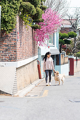 포토 JPG 주간 전신 한마리 여자 반려견 함께함 한명 20대 성인 야외 앞모습 반려동물 걷기 다정 산책 한국인 개 골든리트리버 강아지 즐거움 목줄 반려 성인여자한명만 펫팸족 국내포토 자연요소 동물 1 감정 뷰포인트 컨셉 포유류 모션 휴식 사람 동양인 청년 리트리버 신조어 여자한명만 성인여자만 파일형식 반려용품