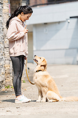 포토 JPG 주간 전신 한마리 여자 반려견 함께함 한명 20대 성인 야외 옆모습 반려동물 다정 한국인 기다림 개 골든리트리버 강아지 즐거움 반려 성인여자한명만 펫팸족 애견훈련 국내포토 자연요소 동물 1 감정 뷰포인트 컨셉 포유류 모션 사람 동양인 청년 리트리버 연습 신조어 여자한명만 성인여자만 파일형식