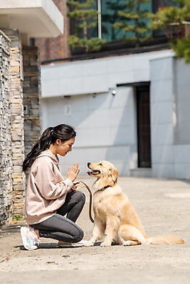 포토 JPG 주간 전신 한마리 여자 반려견 함께함 한명 앉기 20대 성인 야외 옆모습 반려동물 다정 한국인 기다림 개 골든리트리버 강아지 즐거움 반려 성인여자한명만 펫팸족 애견훈련 국내포토 자연요소 동물 1 감정 뷰포인트 컨셉 포유류 모션 사람 동양인 청년 리트리버 연습 신조어 여자한명만 성인여자만 파일형식