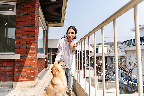 포토 JPG 주간 전신 한마리 여자 반려견 휴식 주택 함께함 한명 서기 미소 20대 성인 야외 앞모습 반려동물 다정 한국인 발코니 개 골든리트리버 강아지 커피잔 즐거움 반려 성인여자한명만 쓰다듬기 펫팸족 국내포토 자연요소 동물 1 감정 커피 뷰포인트 컨셉 포유류 모션 잔 표정 사람 동양인 청년 건물 리트리버 신조어 여자한명만 성인여자만 파일형식