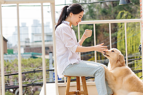 포토 JPG 주간 한마리 여자 반려견 의자 주택 함께함 한명 앉기 상반신 20대 성인 야외 옆모습 반려동물 다정 한국인 발코니 개 골든리트리버 강아지 커피잔 즐거움 반려 성인여자한명만 펫팸족 애견훈련 국내포토 자연요소 동물 1 감정 커피 뷰포인트 가구 컨셉 포유류 모션 잔 사람 동양인 청년 건물 리트리버 연습 신조어 여자한명만 성인여자만 파일형식