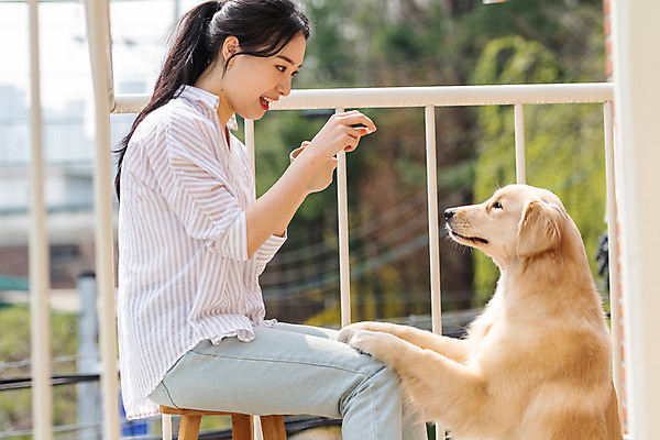 포토 JPG 주간 한마리 여자 반려견 의자 주택 함께함 한명 앉기 상반신 20대 성인 야외 옆모습 반려동물 다정 한국인 발코니 개 골든리트리버 강아지 커피잔 즐거움 교감 반려 애견간식 성인여자한명만 펫팸족 국내포토 자연요소 동물 1 감정 커피 뷰포인트 가구 컨셉 포유류 모션 잔 사람 동양인 청년 건물 리트리버 신조어 여자한명만 성인여자만 파일형식