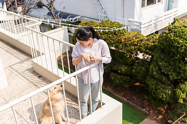 포토 JPG 주간 전신 한마리 여자 반려견 주택 함께함 한명 서기 20대 성인 야외 앞모습 반려동물 하이앵글 다정 한국인 발코니 기다림 개 골든리트리버 강아지 커피잔 즐거움 교감 반려 성인여자한명만 펫팸족 국내포토 자연요소 동물 1 감정 커피 뷰포인트 컨셉 포유류 모션 잔 사람 동양인 청년 건물 리트리버 신조어 여자한명만 성인여자만 파일형식
