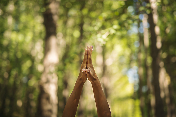 포토 JPG 주간 손 여자 요가 자연 건강 한명 20대 성인 야외 신체부위 운동 손들기 스트레칭 한국인 손모으기 팔 한강공원 성인여자한명만 국내포토 자연요소 1 웰빙 공원 모션 사람 동양인 손짓 청년 한강 생태계 여자한명만 성인여자만 파일형식