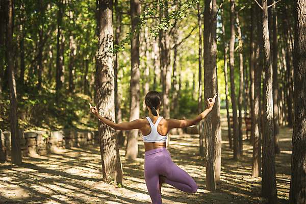 포토 JPG 주간 나무 여자 요가 자연 건강 한명 서기 상반신 20대 성인 야외 뒷모습 운동 손들기 스트레칭 한국인 다리들기 한강공원 성인여자한명만 국내포토 자연요소 식물 1 웰빙 공원 뷰포인트 모션 사람 동양인 청년 한강 생태계 여자한명만 성인여자만 파일형식