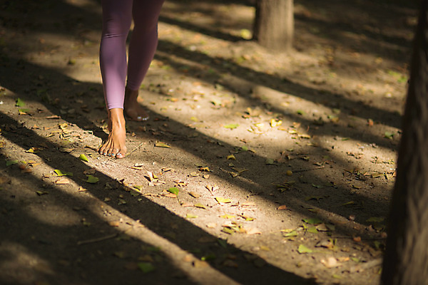 포토 JPG 주간 나무 여자 요가 발 자연 나뭇잎 건강 한명 서기 20대 성인 야외 앞모습 신체부위 운동 걷기 스트레칭 한국인 하반신 종아리 한강공원 성인여자한명만 국내포토 자연요소 식물 1 웰빙 공원 뷰포인트 잎 모션 사람 동양인 청년 한강 생태계 여자한명만 성인여자만 파일형식