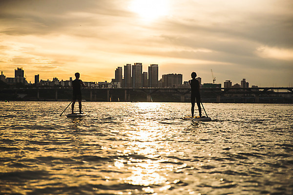 포토 JPG 주간 전신 커플 응시 여자 남자 스포츠 서기 들기 20대 성인 야외 두명 뒷모습 강 한국인 수상스포츠 잡기 노 한강 노젓기 성인만 패들보드 국내포토 자연요소 시선 뷰포인트 관계 모션 서울 사람 동양인 청년 서핑 랜드마크 선박 파일형식