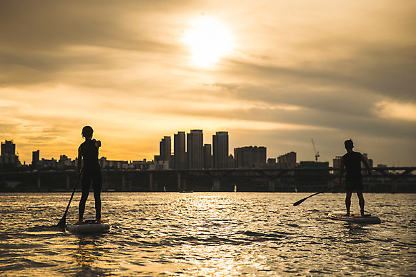 포토 JPG 주간 전신 커플 응시 여자 남자 스포츠 서기 들기 20대 성인 야외 두명 뒷모습 강 한국인 수상스포츠 잡기 노 한강 노젓기 성인만 패들보드 국내포토 자연요소 시선 뷰포인트 관계 모션 서울 사람 동양인 청년 서핑 랜드마크 선박 파일형식