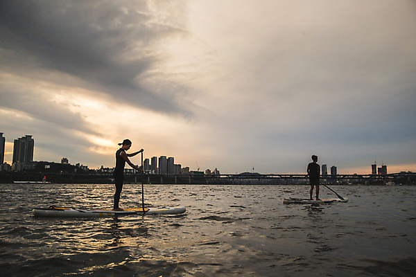 포토 JPG 주간 전신 커플 여자 남자 스포츠 서기 들기 20대 성인 야외 두명 옆모습 뒷모습 강 한국인 수상스포츠 잡기 노 한강 노젓기 성인만 패들보드 국내포토 자연요소 뷰포인트 관계 모션 서울 사람 동양인 청년 서핑 랜드마크 선박 파일형식