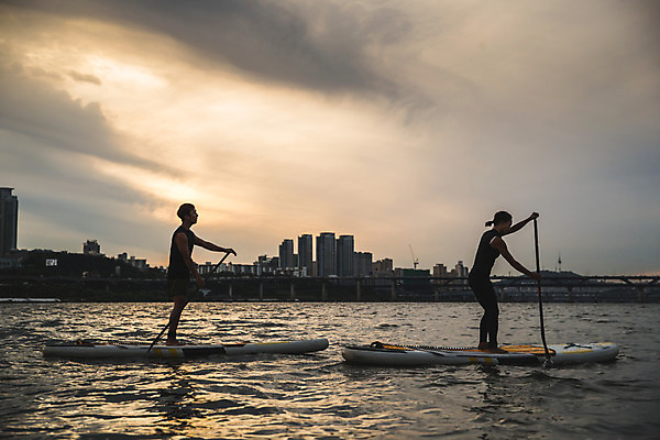 포토 JPG 주간 전신 커플 응시 여자 남자 스포츠 서기 들기 20대 성인 야외 두명 옆모습 강 한국인 수상스포츠 잡기 노 한강 노젓기 성인만 패들보드 국내포토 자연요소 시선 뷰포인트 관계 모션 서울 사람 동양인 청년 서핑 랜드마크 선박 파일형식