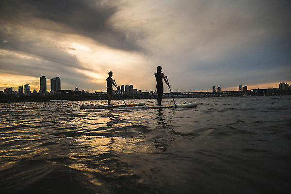 포토 JPG 주간 전신 커플 응시 여자 남자 스포츠 서기 들기 20대 성인 야외 두명 옆모습 뒷모습 강 한국인 수상스포츠 잡기 노 한강 노젓기 성인만 패들보드 국내포토 자연요소 시선 뷰포인트 관계 모션 서울 사람 동양인 청년 서핑 랜드마크 선박 파일형식