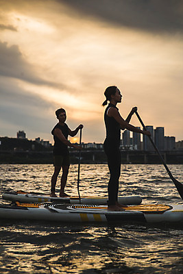 포토 JPG 주간 전신 커플 응시 여자 남자 스포츠 서기 들기 20대 성인 야외 두명 옆모습 강 한국인 수상스포츠 잡기 노 한강 노젓기 성인만 패들보드 국내포토 자연요소 시선 뷰포인트 관계 모션 서울 사람 동양인 청년 서핑 랜드마크 선박 파일형식