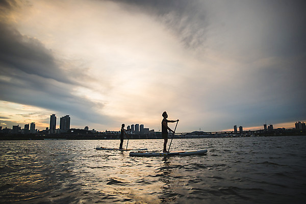 포토 JPG 주간 전신 커플 응시 여자 남자 스포츠 서기 들기 20대 성인 야외 두명 옆모습 강 한국인 수상스포츠 잡기 노 한강 노젓기 성인만 패들보드 국내포토 자연요소 시선 뷰포인트 관계 모션 서울 사람 동양인 청년 서핑 랜드마크 선박 파일형식