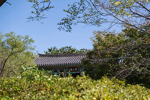 포토 JPG 주간 나무 한국전통 여행 고건축 유적지 풍경 사람없음 야외 관광지 문화재 가을 한국사 충청남도 논산 계백장군유적전승지 황산벌 황산루 국내포토 자연요소 식물 전통 건축물 계절 한국 역사 충청도 파일형식