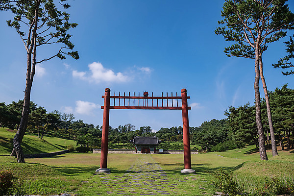 포토 JPG 주간 나무 한국전통 여행 고건축 유적지 풍경 사람없음 야외 관광지 문 문화재 가을 한국사 충청남도 논산 홍살문 계백장군유적전승지 충장사 국내포토 자연요소 식물 전통 건축물 계절 한국 역사 전통문 충청도 파일형식