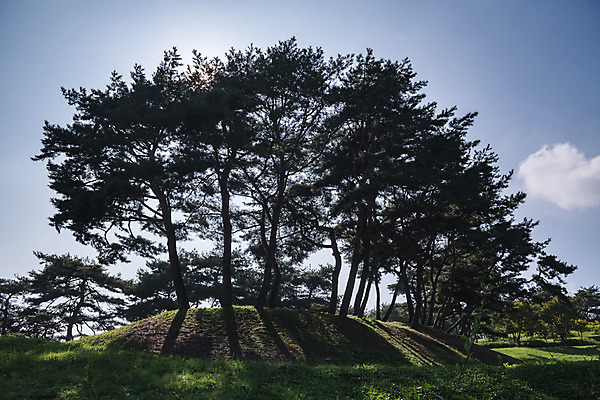 포토 JPG 주간 나무 한국전통 여행 고건축 유적지 하늘 풍경 사람없음 야외 관광지 햇빛 문화재 가을 소나무 한국사 충청남도 논산 계백장군유적전승지 충장사 국내포토 자연요소 식물 전통 건축물 계절 한국 태양 역사 충청도 파일형식