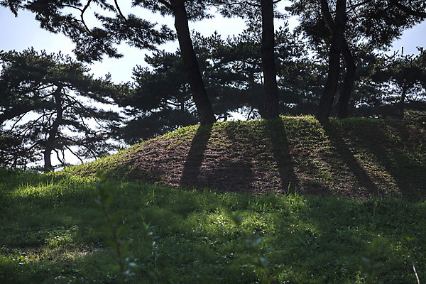 포토 JPG 주간 나무 한국전통 여행 고건축 유적지 풍경 사람없음 야외 관광지 문화재 가을 소나무 한국사 충청남도 논산 계백장군유적전승지 충장사 국내포토 자연요소 식물 전통 건축물 계절 한국 역사 충청도 파일형식