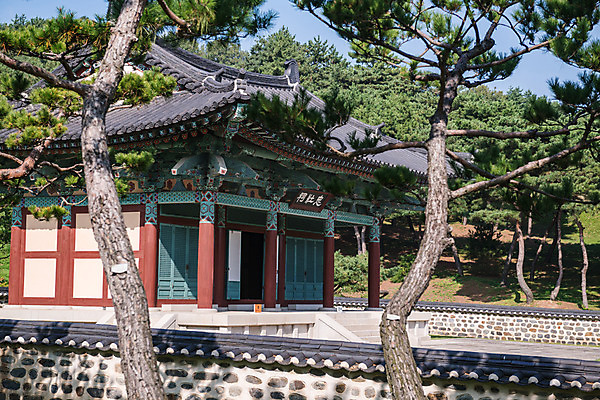 포토 JPG 주간 나무 한국전통 여행 고건축 유적지 풍경 사람없음 야외 관광지 문화재 가을 소나무 한국사 충청남도 논산 계백장군유적전승지 충장사 국내포토 자연요소 식물 전통 건축물 계절 한국 역사 충청도 파일형식