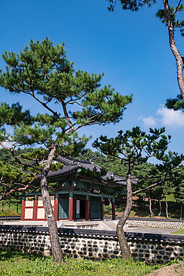 포토 JPG 주간 나무 한국전통 여행 고건축 유적지 풍경 사람없음 야외 관광지 문화재 가을 소나무 한국사 충청남도 논산 계백장군유적전승지 충장사 국내포토 자연요소 식물 전통 건축물 계절 한국 역사 충청도 파일형식