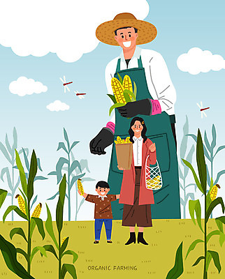 전신 여자 남자 아들 어린이 밭 일러스트 자연 엄마 봉투 옥수수 들기 사람 상반신 성인 세명 초록색 수확 잠자리 구매 농부 고객 유기농 옥수수밭 국내일러스트 AI파일 직업 웰빙 컬러 곤충 농업 가족 모션 곡류 쇼핑 생태계 파일형식 벡터
