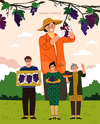 전신 여자 노년 남자 중년 일러스트 가족 포도 들기 사람 여러명 상반신 성인 선물상자 바구니 보라색 수확 구매 농부 고객 유기농 포도밭 포도나무 박스포장 포도따기 국내일러스트 AI파일 직업 웰빙 컬러 다수 밭 농업 과일 포장 관계 모션 선물 쇼핑 상자 과일나무 파일형식 벡터